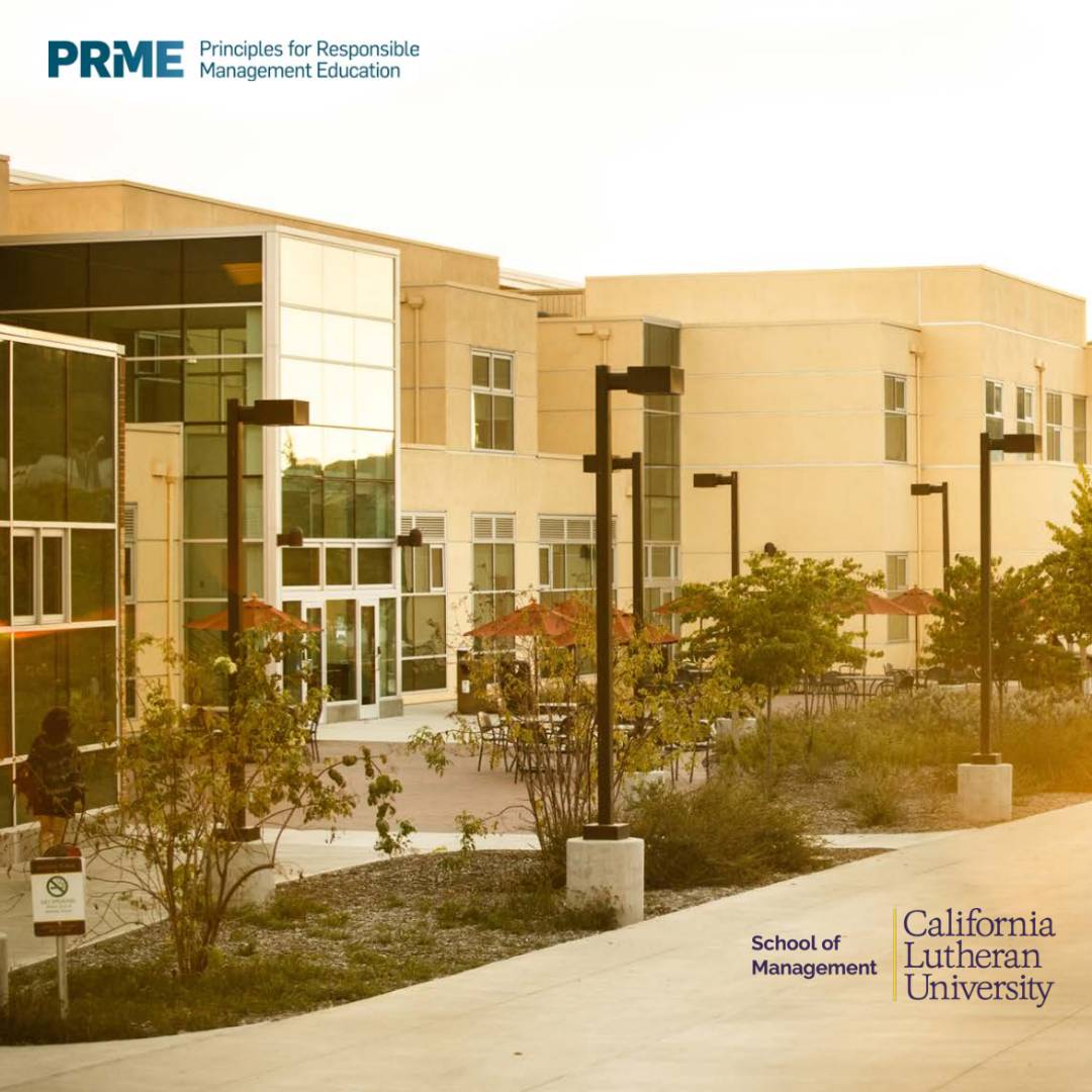 REPORT 2015-2017 REPORT 2015-2017