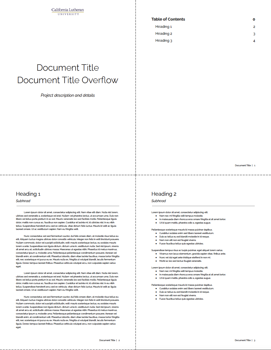 Long document example