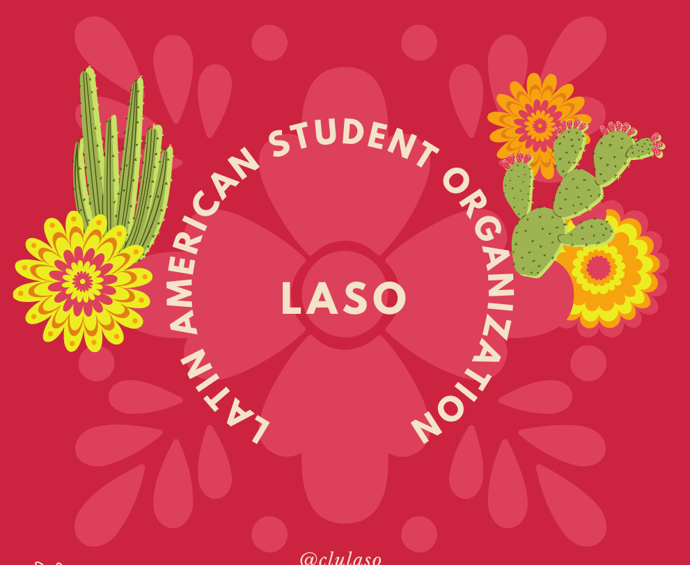 LASO Logo